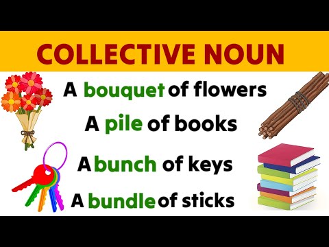 Collective Nouns | Collective Noun for kids | Basic English grammar | Collective Noun in English