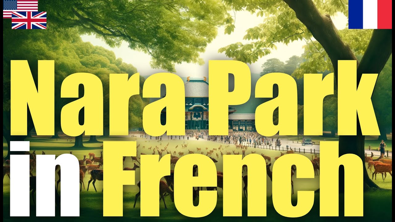 Nara Park in French | Japan Travel | Essential to Learn episode artwork