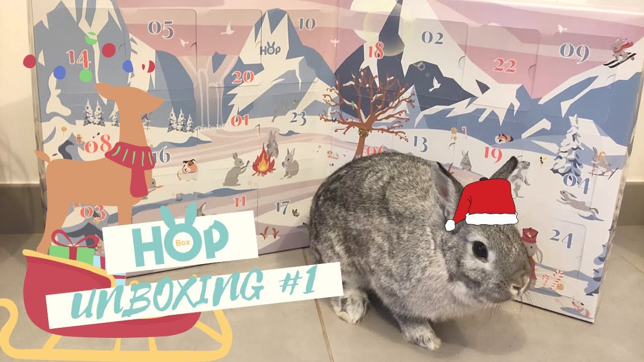 UN CALENDRIER DE L'AVENT POUR LAPIN 🎄🎅🏼 -  Unboxing Hopbox 🐰