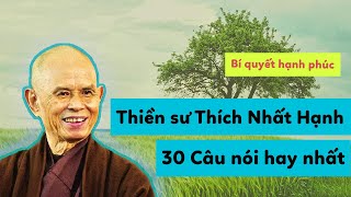 THIỀN SƯ THÍCH NHẤT HẠNH: 30 Câu nói hay và ý nghĩa nhất ( Bí quyết giúp bạn hạnh phúc)