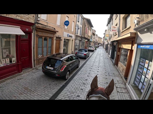 De la force et de l'&eacute;quilibre