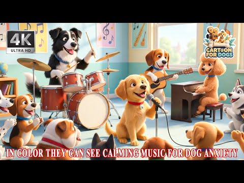 Doggo Dreams TV and 2 more