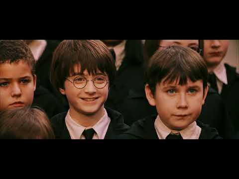 Harry Potter - der sprechende Hut