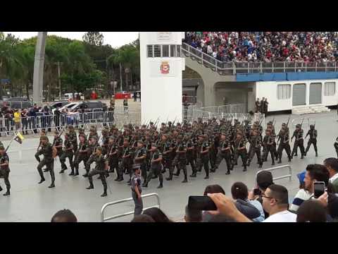 7 de setembro Anhembi SP(2)