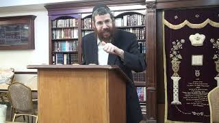 In depth shiur in concepts of Basi Legani 5723 - Rabbi Yossi Klyne (2)