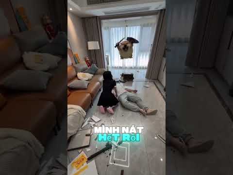 Chó Khiên Đao Tràn Ra Đời Thực! Đại Sư Ném Mèo Chuối Cái Nổ 💥🐶