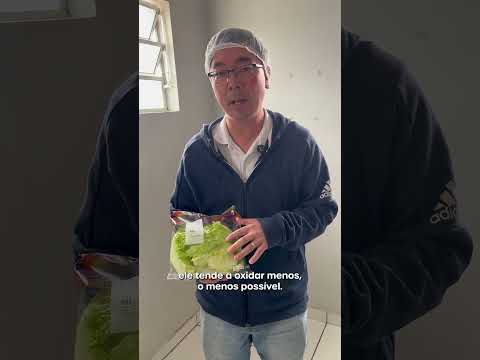 Webserie Jornada da Alface Americana - Parte 16