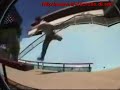 Viñetas divertidas