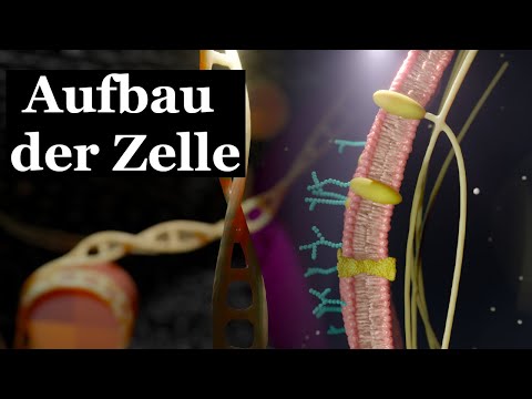 Structure of the cell | Understand in 8 minutes | 3D animation