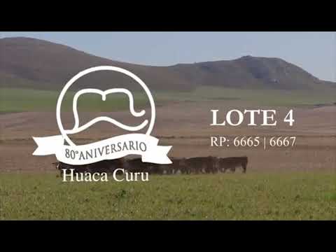 Próximo remate de Cabaña Huaca Curú - Consignataria Colombo y Magliano S.A - Jueves 3-9-20