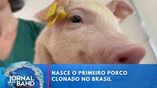 Miniatura do vídeo