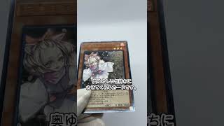 日本人ならやっぱり桜！春を感じろ！！灰流うらら【遊戯王おすすめコレクションカード紹介～27日目～】