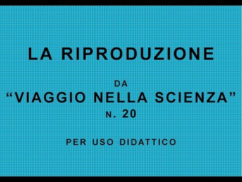 , title : '"La Riproduzione" da "Viaggio nella Scienza" n 20 P. Angela'