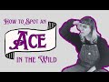 Symbols of Asexuality | A Guide to Spotting Fellow Aces