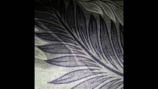 Cutei rabbits with their red eyes. Most beautiful animals so called rabbits.