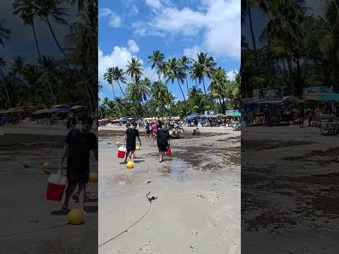 #praia dos carneiro Tamandaré Pernambuco Brasil