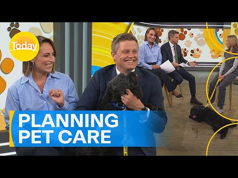 Finding the purr-fect vet for your pet! | Today Show Australia - YouTube