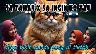 Download lagu DJ SA TAHAN X SA INGIN KO TAU SLOW SAD CANDU YANG DI TIKTOK BY YANZ TUBE mp3