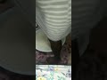 Home 13 Video thumbnail