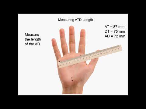 Fingerprint Talent Analysis Video