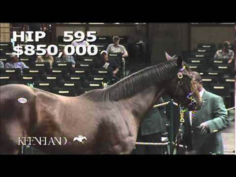 2014 September Yearling Sale - Hip 595 (Tiznow - Dream Supreme)