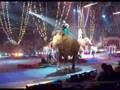 Ringling Brothers Barnum And Bailey Circus