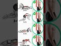 Sway Back Posture Correction Exercises | #workout #posturecorrection