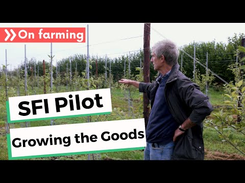 SFI Pilot: Learning from the Growing the Goods land management plan