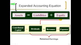 ACC 201 Chapter 1 Lecture - Introducing Accounting in Business