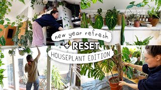1.5 HOURS(!!) of Resetting My Houseplant Collection 🌱 Huge January RESET 2025