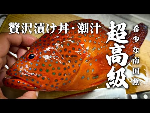 大きなオオコウモリ