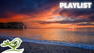 Beautiful & Emotional Piano Music with Relaxing Ocean Waves | Relax, Sleep, Focus