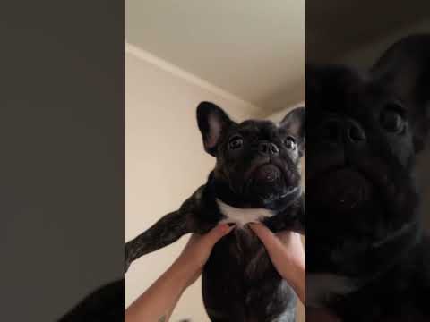 Моя любовь 😍