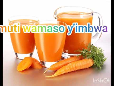 umuti wamaso y'imbwa wabonetse atabigoranye