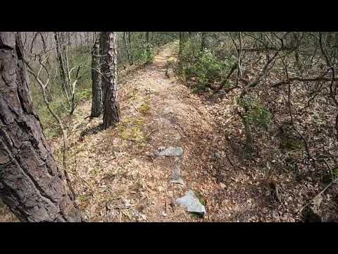 Pandemic Bikes: Switchback to the Nesquehoning Ridge trail