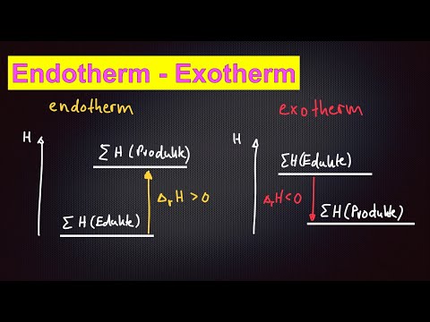Endothermic and exothermic reactions