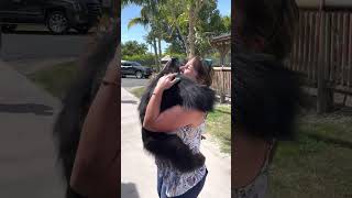 Chimp Reunites With Caretakers After Many Years