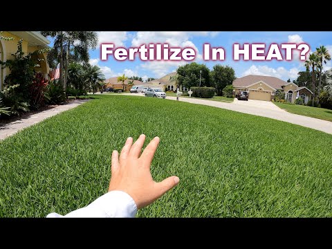 Can You Fertilize The Lawn in Summer and Not Burn It?
