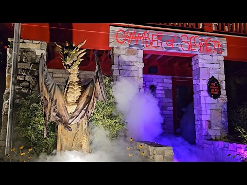 Harry Potter Halloween House!