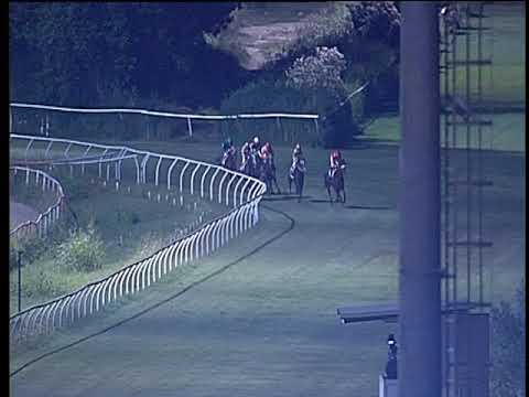 Galoppo 03/08/2019 - 5ª corsa