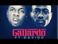 Gallardo-Runtown ft Davido(sped up)