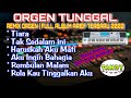 ORGEN TUNGGAL REMIX ORGEN FULL ALBUM ARIEF PUTRA TERBARU 2022 Tandy Studio Tiara Tak Sedalam Ini