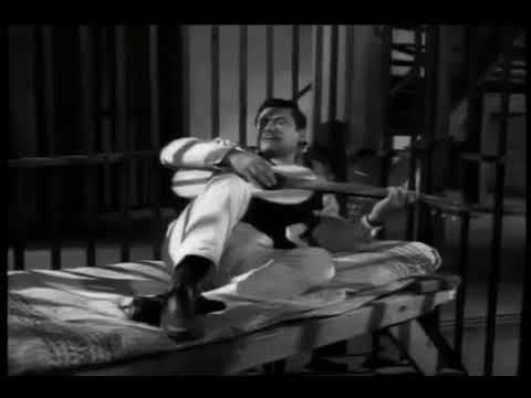 EL TRAGABALAS PELICULA COMPLETA