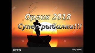 Ловля хищной рыбы на днепродзержинском водохранилище