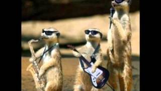 Tom Astor-Fuzzy, das war der Größte