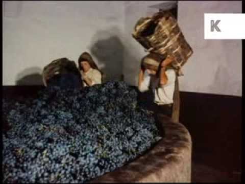 Winemaking, 1960s/ 1970s Portugal, Trampling Grapes, Archive footage