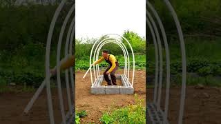 Download lagu Rangka rumah kaca DIY yang murah dan mudah dibangun 😉 #rumahkacaDIY #rumahkaca #pecintatanaman mp3 Download lagu Rangka rumah kaca DIY yang murah dan mudah dibangun 😉 #rumahkacaDIY #rumahkaca #pecintatanaman mp3