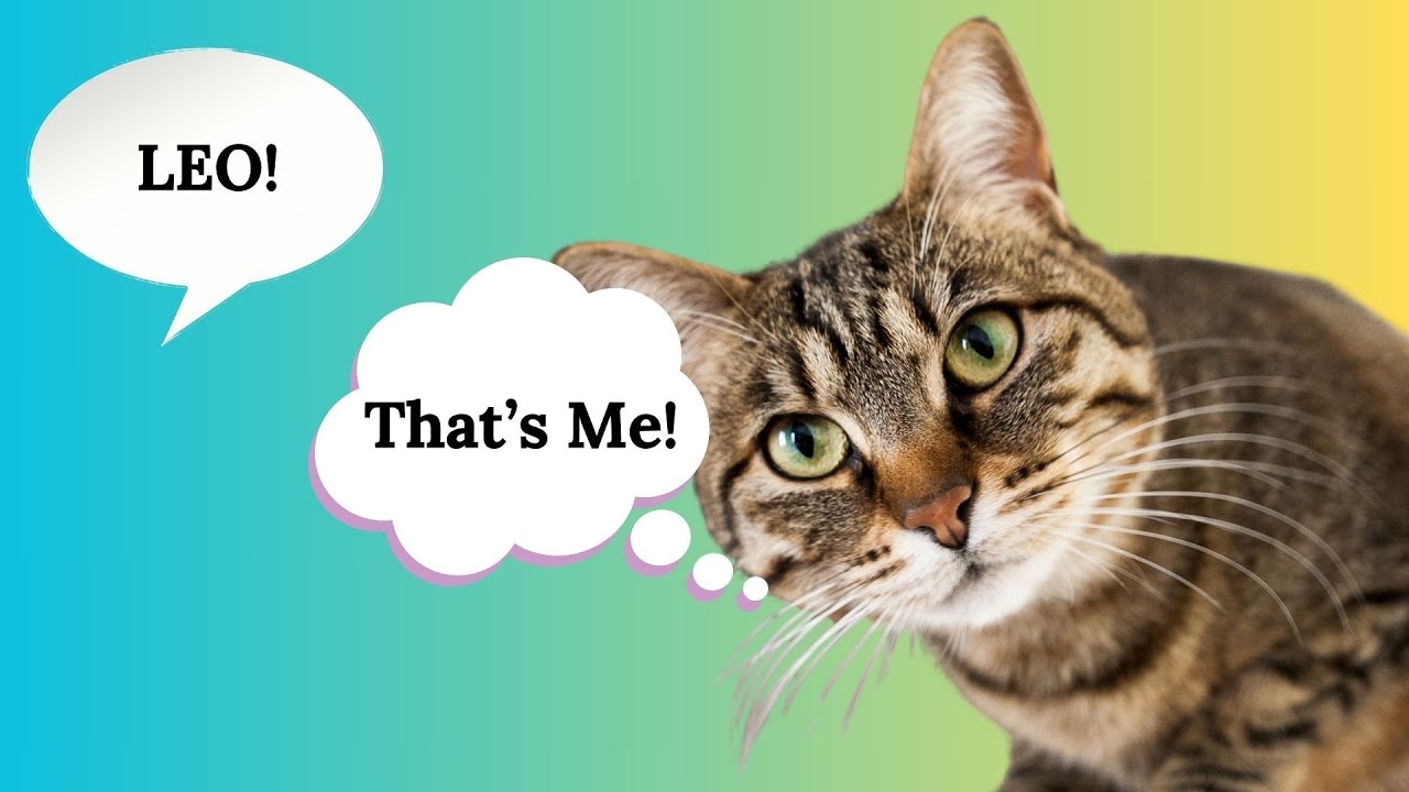 Do Cats Actually Recognize Their Names?