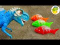 Dinosaurs Crocodiles Colorful Fish Toys Funny Dinosaur Toy Story 28 ToyTV