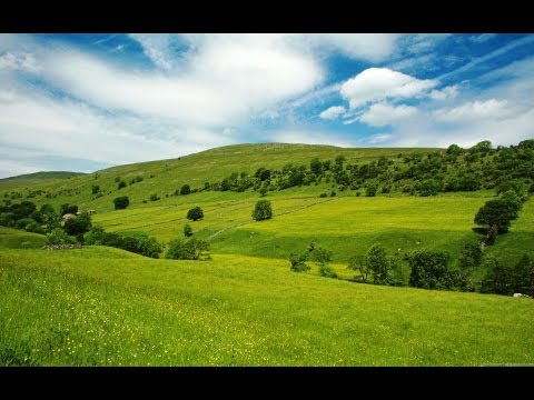 François Couperin - Les Bergeries - Sexiême Ordre - Harpsichord
